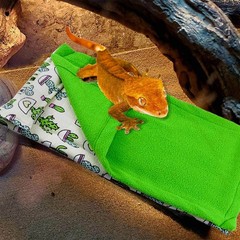 Dnoifne Reptile Sleeping Bag, Reptile Pets’ Sleeping Bag Set with Pillow and …