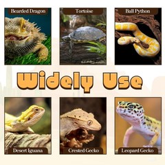 Bearded Dragon Tank Accessories, 8x2ft Reptile Substrate Mat Terrarium Carpet…