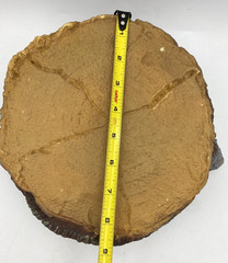 Reptile Aquarium Supplies Dome Heat Lamp Bonsai Tree Climbing Stump Terrarium