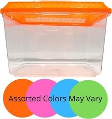 Ultimate Hermit Crab Supplies Kit – Terrarium Accessories