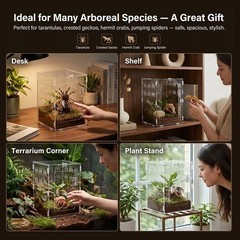 Acrylic Tarantula Enclosure 8x8x12 – Front Opening Terrarium with Lock, Ventilat