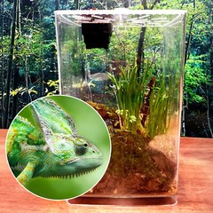 Large Acrylic Reptile Terrarium Gecko Lizard Spider Vivarium Enclosure Tank US~