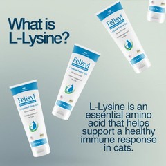 Felisyl L-Lysine Gel for Cats & Kittens (5oz) – Immune System, 1 Pack, Paste