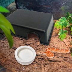 4 PCS Reptile Hide Box Leopard Gecko Snake Hideout Cave Ball Python Tank