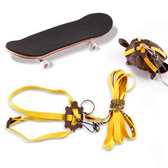 Tortoise Leash and Training Skateboard Toy, Mini Skateboard and Adjustable Ha…
