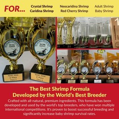 ShrimpSoil – Freshwater Shrimp & Aquatic Plant Soil | Professional Buffering …