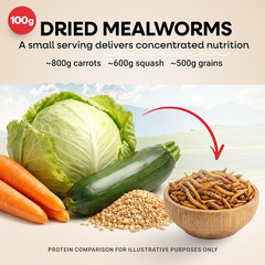 Dried Mealworms 100% Non-Gmo 10 Lb – Mealworms for Birds, Chickens, Ducks – Perf