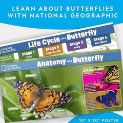 National Geographic Butterfly Growing Kit – Kids STEM Activity