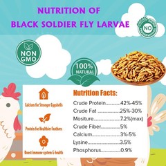 Dried Black Soldier Fly Larvae 10LB BSF Larvae for Chicken Ducks and Wild Bir…