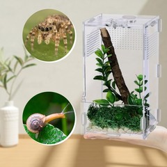VERTUPET Jumping Spider Enclosure | 360° Clear View | Durable Acrylic