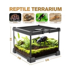 Mini Reptile Glass Terrarium Vivarium 8” x 8” x 6” Full View Tan… Fast Ship