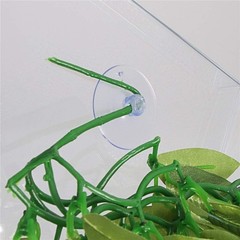 Green Hanging Silk Reptile Plant 12 Inch Terrarium Decoration