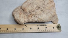Reptile Hides Cave Hideout Habitat Decor Ornament Shelter Dessert Hide