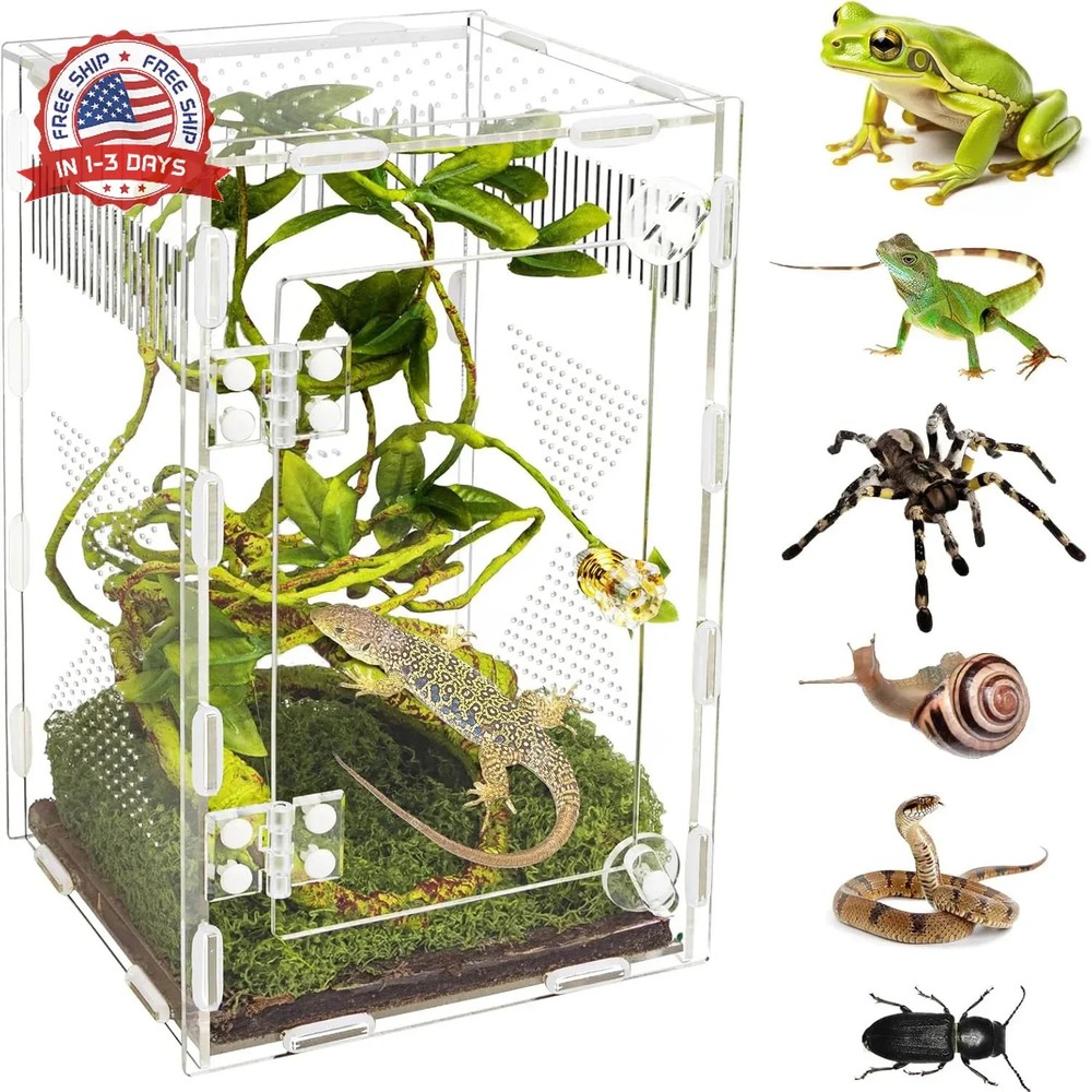 Acrylic Jumping Spider Habitat, Reptile Terrarium Easy Assembly, Bug Enclosure,