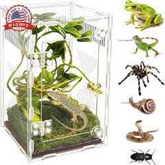 Acrylic Jumping Spider Habitat, Reptile Terrarium Easy Assembly, Bug Enclosure,