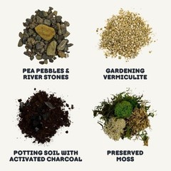 Complete Terrarium Starter Set | DIY Plant Care Accessories