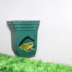 Frog Tank Accessories, 2-In-1 Plastic Reptile Hide with Bowl on the Top, Habitat