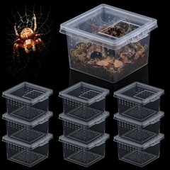 10 Pcs Insect Spider Terrariums Breeding Box Hatching Container Small Reptile Sc
