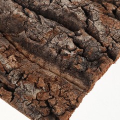 2pcs Cork Tile Background Bark Reptile Tank Backdrop Terrarium Wall Decor
