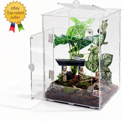 Large Jumping Spider Enclosure, Acrylic Ventilated Terrarium with Magnetic Front
