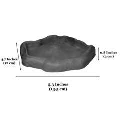 Black Leopard Gecko Water Bowl Hermit Crab Bathing Pool 5 x 5.5 Inch