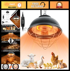 350W Heat Lamp for Chickens – Waterproof Brooder Heater, 2 Heat Levels, 5.6 Ft C