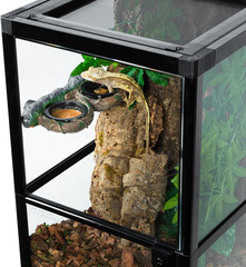 Magnetic Reptile Feeding Ledge, Gecko Feeder Ledge with 4PCS Cups, Hollow Vine F