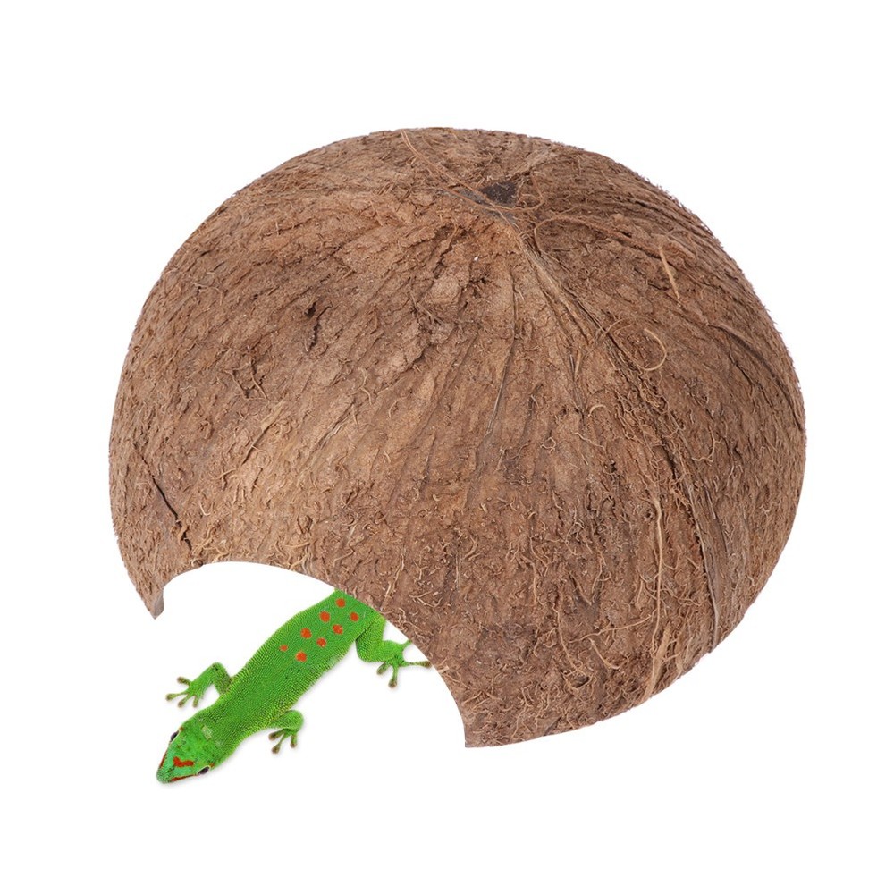 Coconut Hide for Crested Gecko Natural Reptile Hideouts Hut Cave Habitat