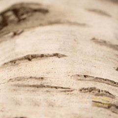 Artificial Birch Log Tortoise Small Animal Habitat Bearded Dragon Hide Cave↑