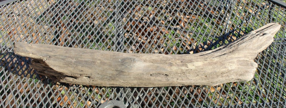 DRIFTWOOD natural Terrarium Taxidermy Art/craft Reptile beach home/garden Decor
