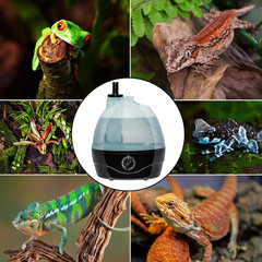 Reptile Fogger & Humidifier – Adjustable Fog Output for Mini Terrarium Fogger –