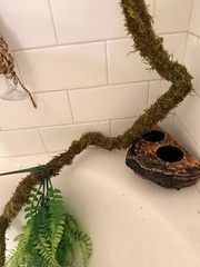 Reptile Habitat Accessories Bundle for Terrarium