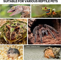Acrylic Insect Terrarium Large Reptile Enclosure for Spiders Frogs Turtles