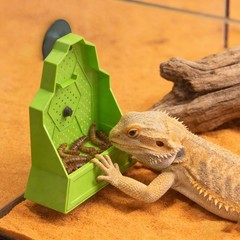 Reptile Feeding Bowl, Feeder for Reptile, Reptile Corner Feeder with Suction Cup