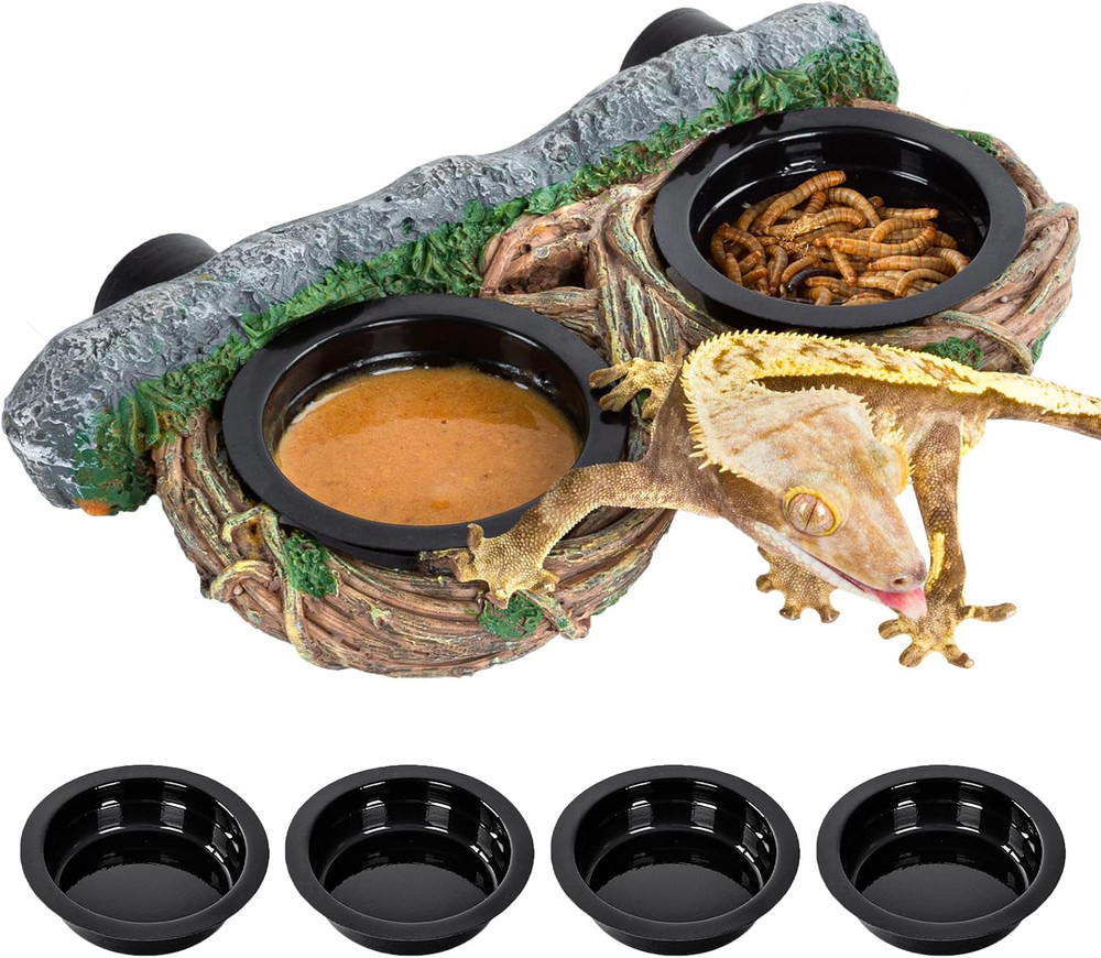 Magnetic Reptile Feeding Ledge, Gecko Feeder Ledge with 4PCS Cups, Hollow Vine F