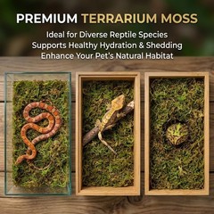 Reptile Moss Substrate for Humidity Hiding Nesting Bedding 5oz