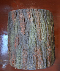 Terrarium Log MED Bearded Dragon Cave Gecko log Snake log Lizard House 9 x 10