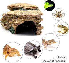 Turtle Basking Platform Shale Scape Step Ledge, Reptile Cave Hideout Turtle Tank
