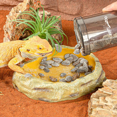 Reptile Cricket Calcium Powder Mixer, Cricket Keeper Shaker for Bearded Dragon G