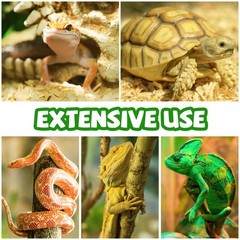 Reptile Tank , Artificial Plants Vines and Flexible Leaves With Suction Cups,…