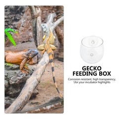 Reptile Feeder Escape Food Box Feeding Basin with Suction Cup Gecko Feeding Box