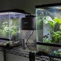10L Reptile Mister Fogger – Silent Pump Humidifier for Terrariums and Amphibians