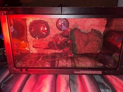 ZooMed 30 Reptile Terrarium Tank