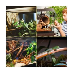 10 Gallon Professional Glass Terrarium 12″x12″x18″ Durable Reptile Habitat Ta…