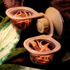 2Pcs Reptile Food Bowl Set Golden Hanging Water Dish with Transparent PP Bowls