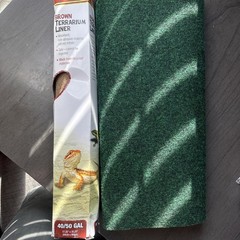 Lot of Terrarium Liner and Decor