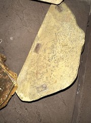 Reptile Waters Feeders Magnetic Hide Rock