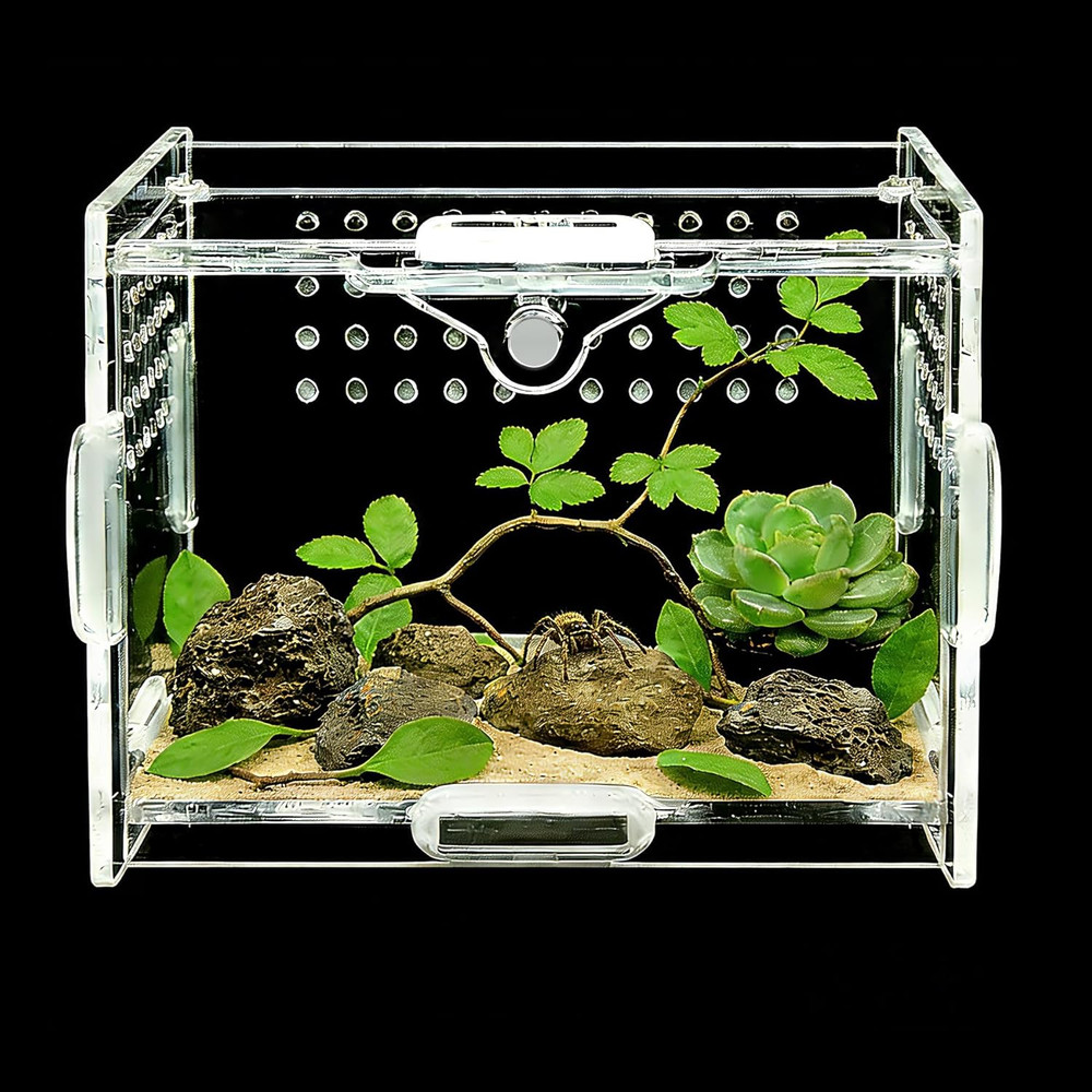 Acrylic Insect Terrarium & Reptile Habitat Kit – Multi-Purpose Bug Enclosure for