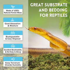 7 OZ Premium Sphagnum Moss for Reptiles- 10QT Natural Live Moss Reptile Moss Bed