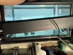20 gallon terrarium with accessories